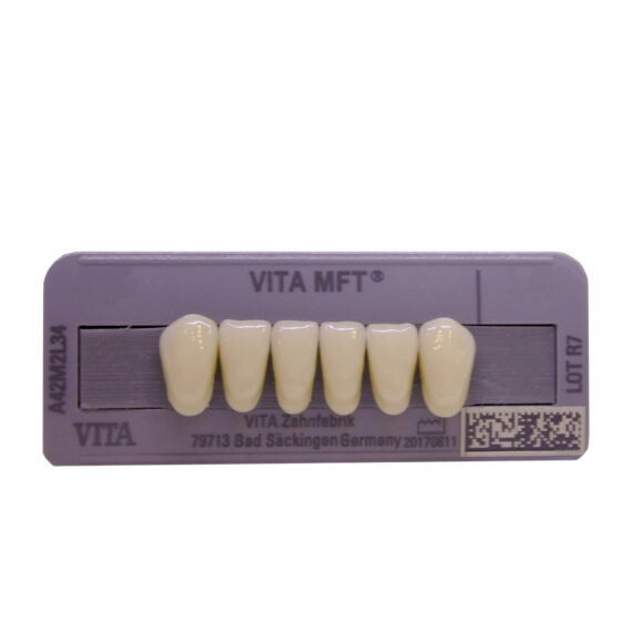Dente Vita MFT Anterior Inferiro