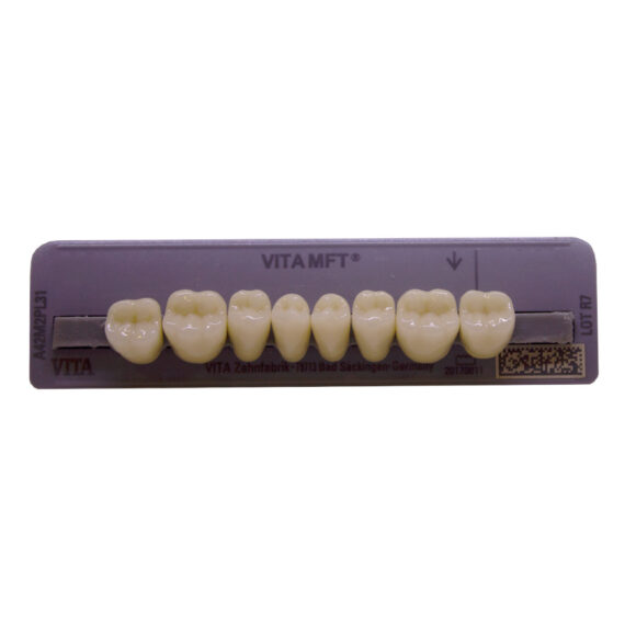 Dente Vita MFT Posterior Inferior